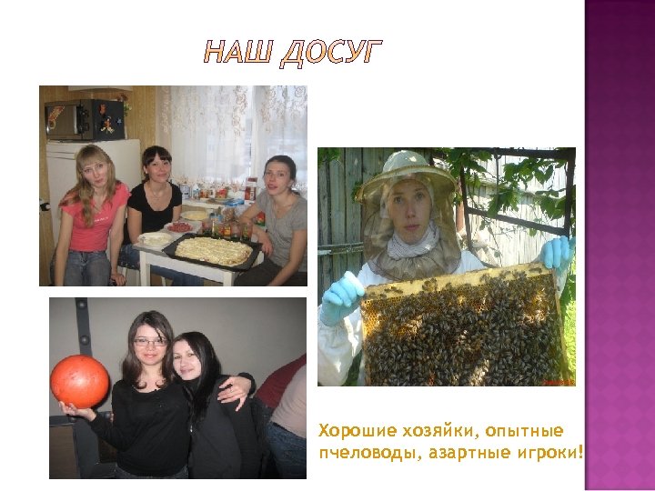 Хорошие хозяйки, опытные пчеловоды, азартные игроки! 