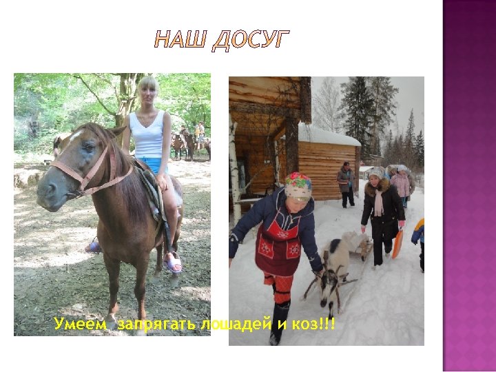 Умеем запрягать лошадей и коз!!! 