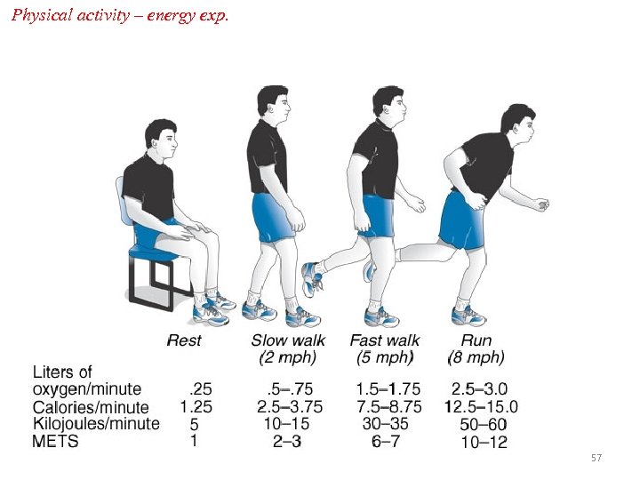 Physical activity – energy exp. 57 