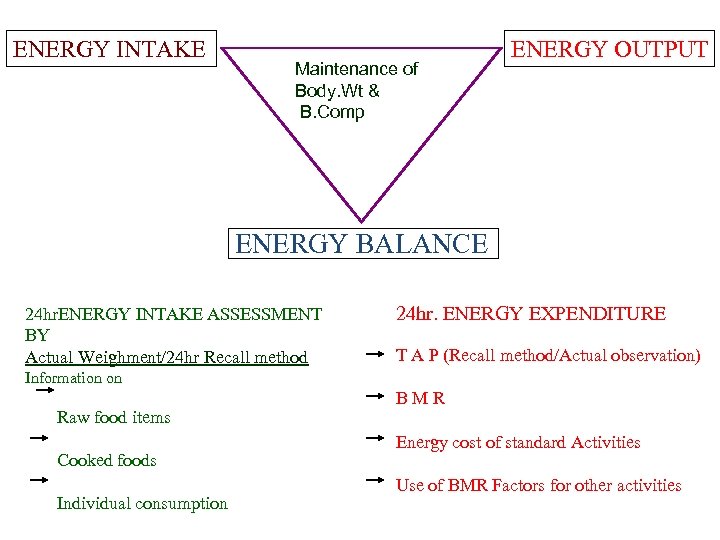 ENERGY INTAKE Maintenance of Body. Wt & B. Comp ENERGY OUTPUT ENERGY BALANCE 24
