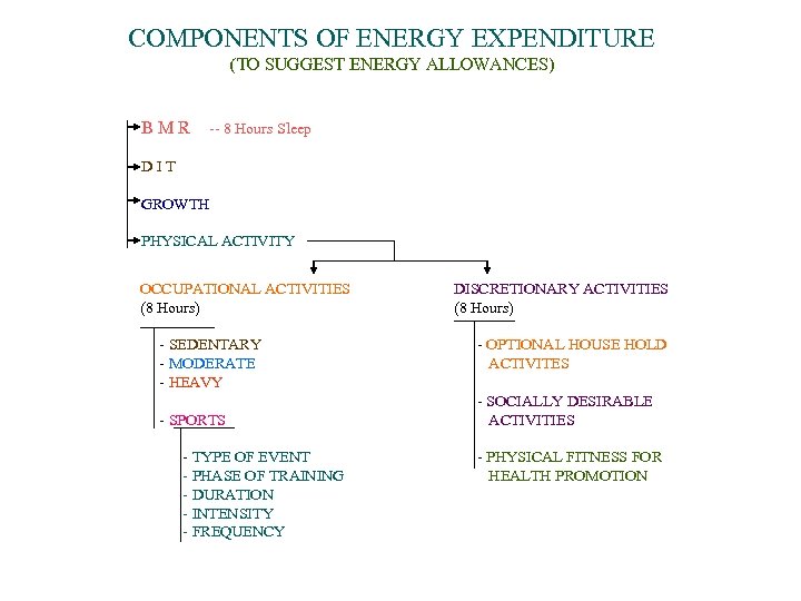 COMPONENTS OF ENERGY EXPENDITURE (TO SUGGEST ENERGY ALLOWANCES) BMR -- 8 Hours Sleep DIT