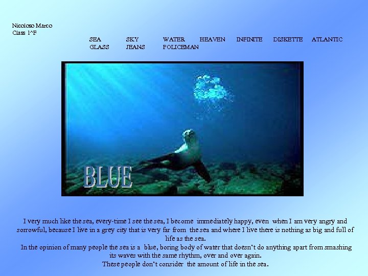 Nicoloso Marco Class 1^F SEA GLASS SKY JEANS WATER HEAVEN POLICEMAN INFINITE DISKETTE ATLANTIC