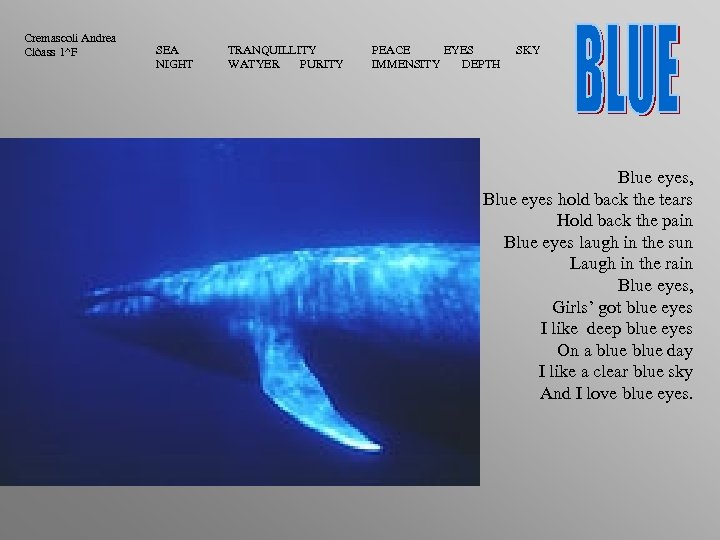 Cremascoli Andrea Clòass 1^F SEA NIGHT TRANQUILLITY WATYER PURITY PEACE EYES IMMENSITY DEPTH SKY