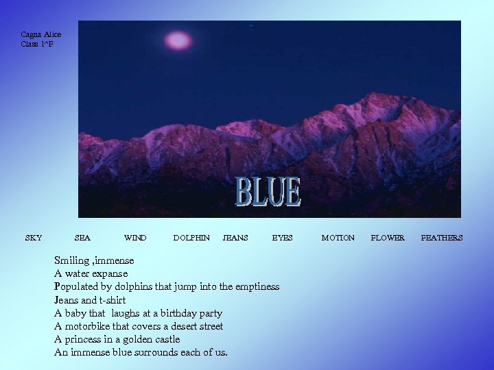 Cagna Alice Class 1^F SKY SEA WIND DOLPHIN JEANS EYES Smiling , immense A