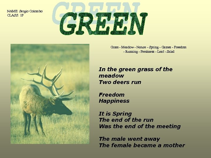 NAME: Sergio Colombo CLASS: 1 F Grass - Meadow - Nature - Spring -