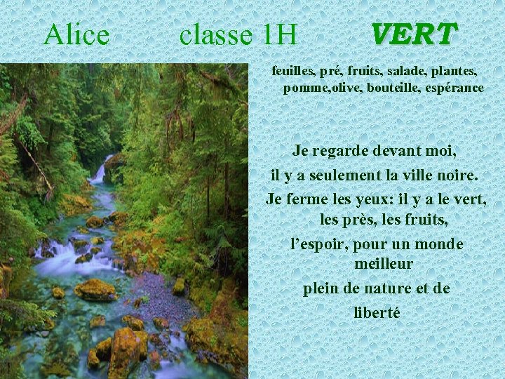 Alice classe 1 H VERT feuilles, pré, fruits, salade, plantes, pomme, olive, bouteille, espérance