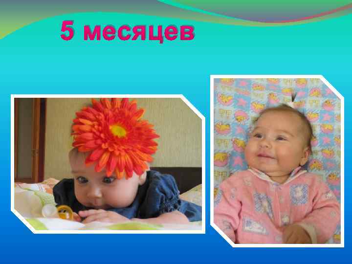 5 месяцев 