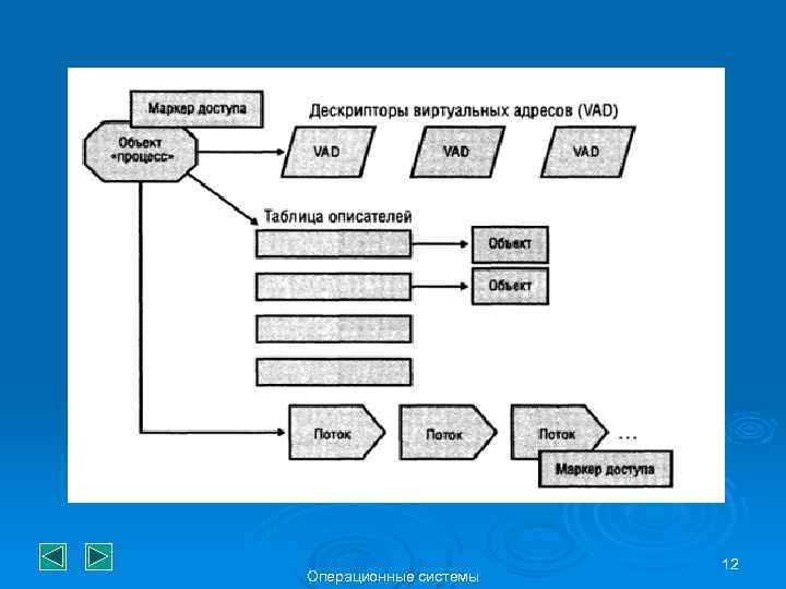 Операционные системы 12 