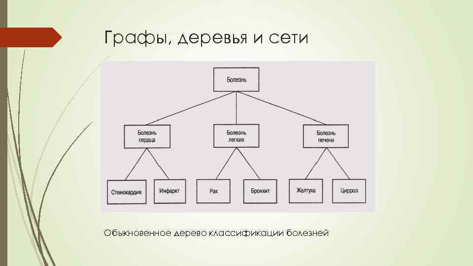 Классификация деревьев. Классификация деревьев схема. Систематика дерева. Научная классификация деревьев.