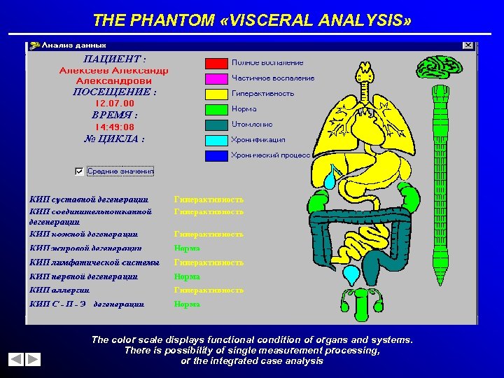 THE PHANTOM «VISCERAL ANALYSIS» The color scale displays functional condition of organs and systems.