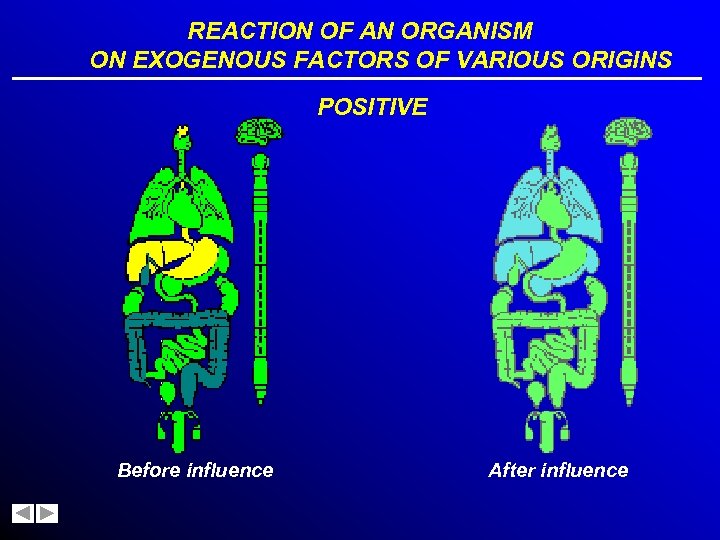 REACTION OF AN ORGANISM ON EXOGENOUS FACTORS OF VARIOUS ORIGINS POSITIVE Before influence After