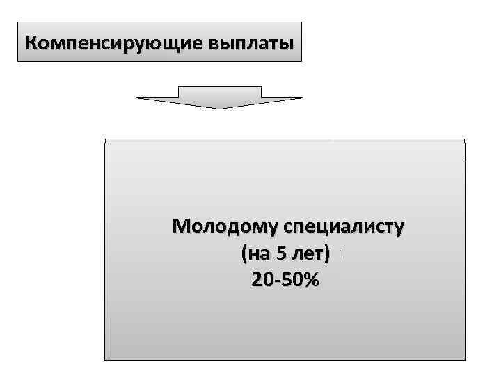 Компенсирующие выплаты За проверку письменных работ: Выплаты за опыт работы: Учителям истории, биологии, географии