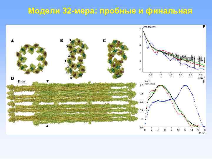 Модели 32 -мера: пробные и финальная 