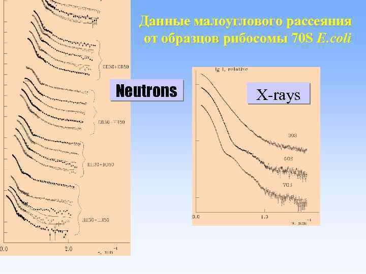 Данные малоуглового рассеяния от образцов рибосомы 70 S E. coli Neutrons X-rays 