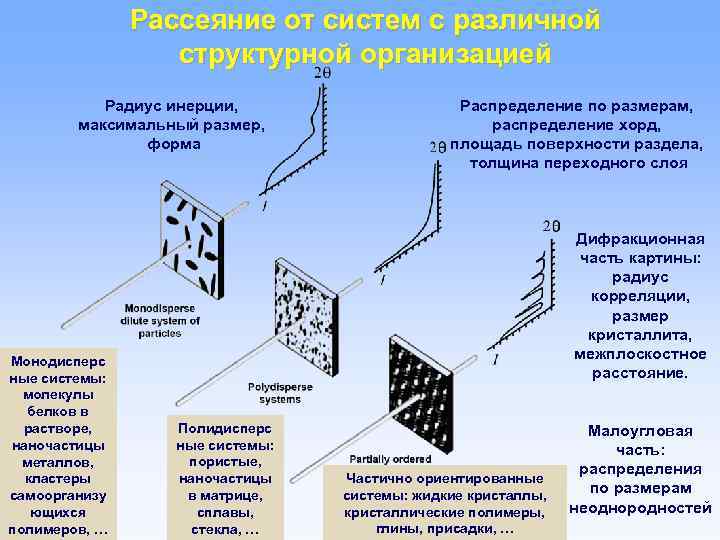 Рассеяние от систем с различной структурной организацией Радиус инерции, максимальный размер, форма Монодисперс ные