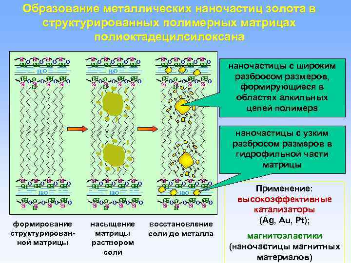 Образование металлических наночастиц золота в структурированных полимерных матрицах полиоктадецилсилоксана Si Si O OO O