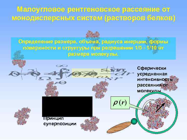 Малоугловое рентгеновское рассеяние от монодисперсных систем (растворов белков) Определение размера, объема, радиуса инерции, формы