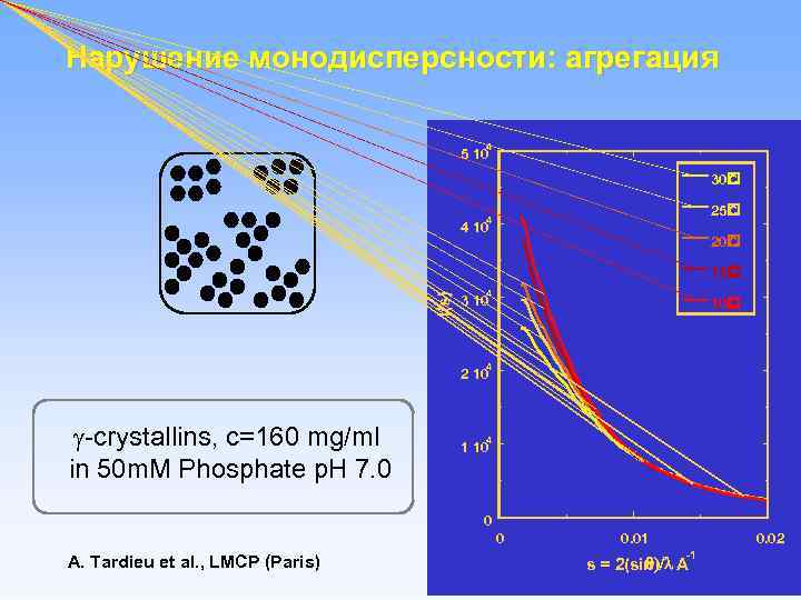Нарушение монодисперсности: агрегация 4 5 10 30 C 25 C 4 4 10 20