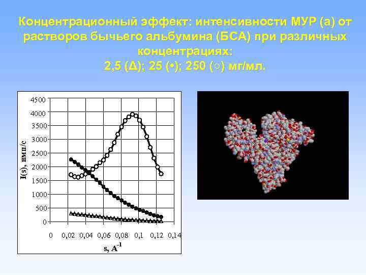 Концентрационный эффект: интенсивности МУР (а) от растворов бычьего альбумина (БСА) при различных концентрациях: 2,