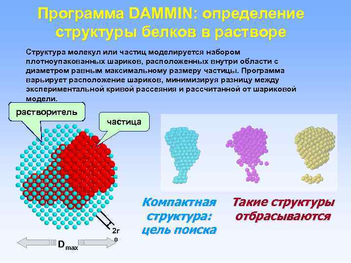 Программа DAMMIN: определение структуры белков в растворе Структура молекул или частиц моделируется набором плотноупакованных