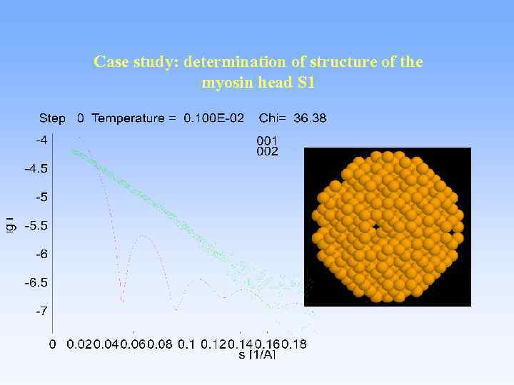 Case study: determination of structure of the myosin head S 1 