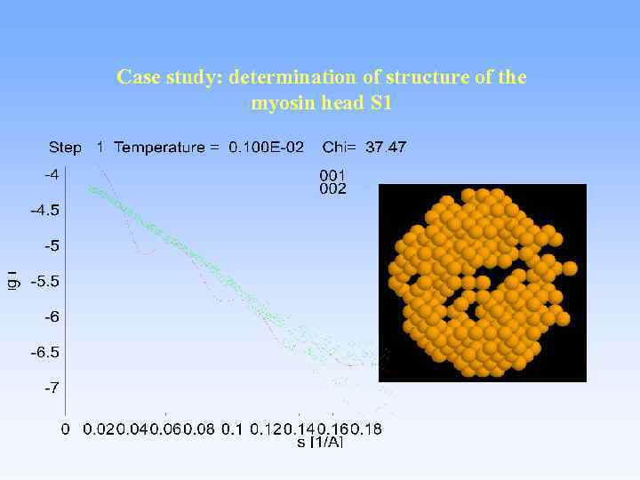Case study: determination of structure of the myosin head S 1 