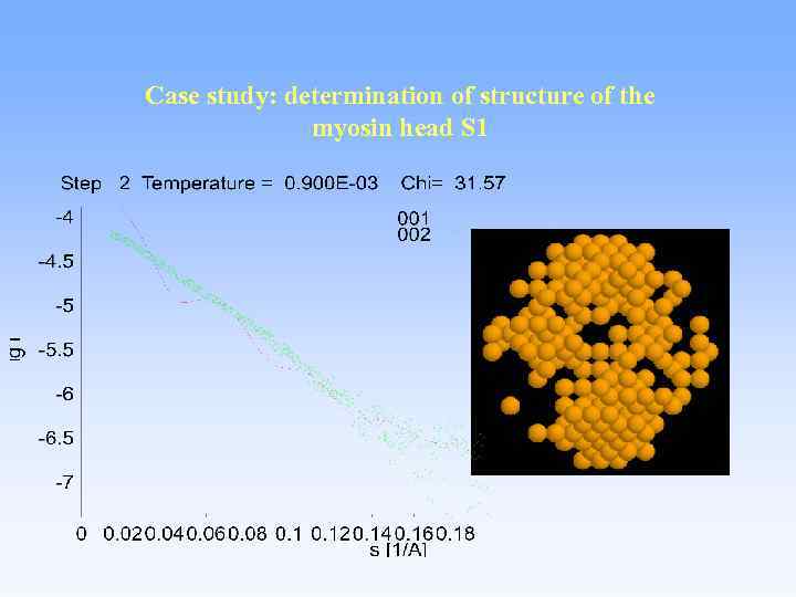 Case study: determination of structure of the myosin head S 1 