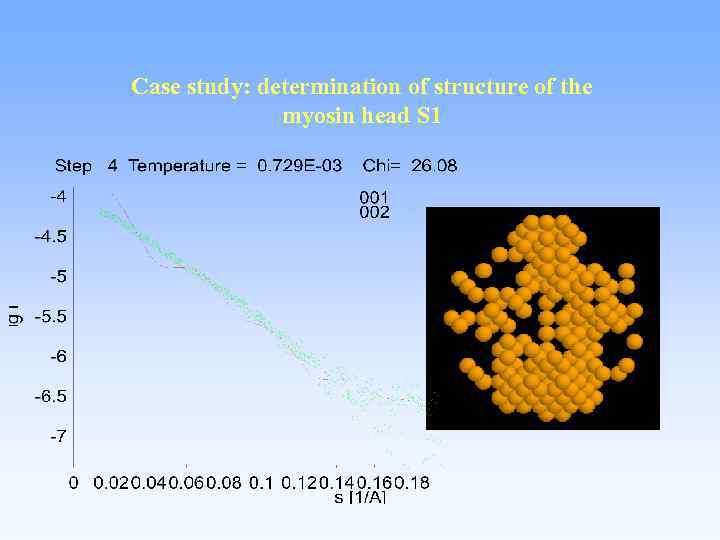 Case study: determination of structure of the myosin head S 1 