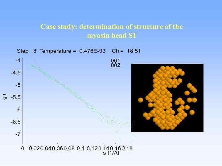 Case study: determination of structure of the myosin head S 1 