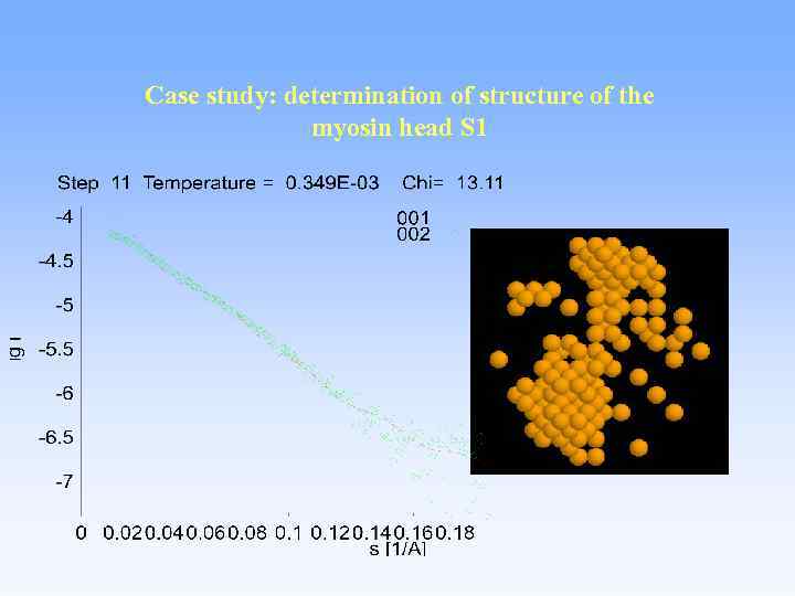 Case study: determination of structure of the myosin head S 1 