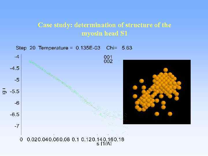 Case study: determination of structure of the myosin head S 1 