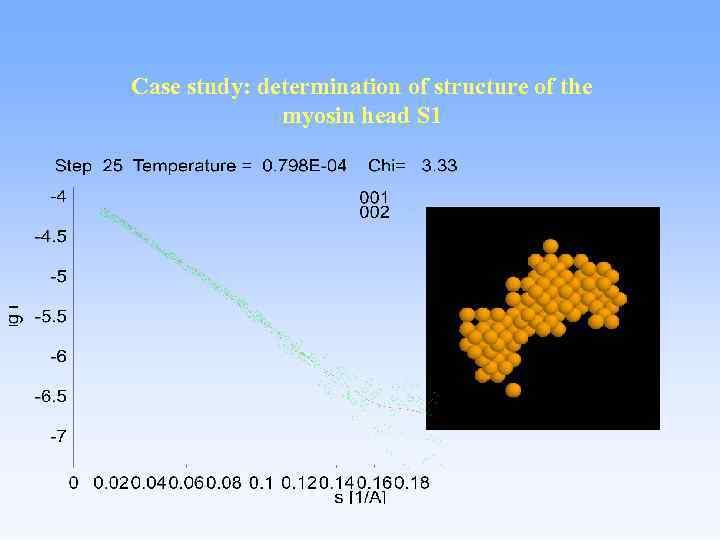 Case study: determination of structure of the myosin head S 1 