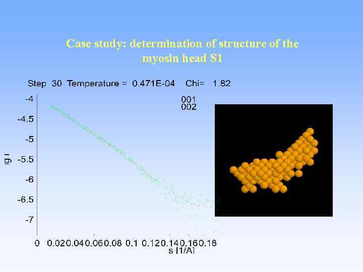 Case study: determination of structure of the myosin head S 1 