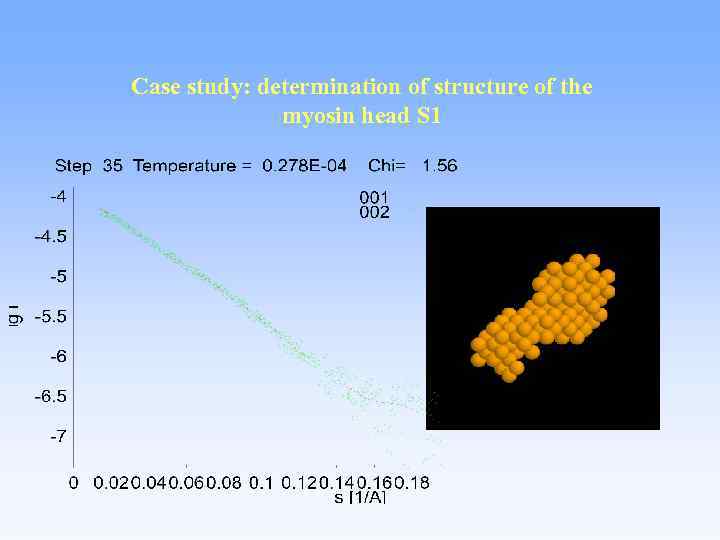 Case study: determination of structure of the myosin head S 1 
