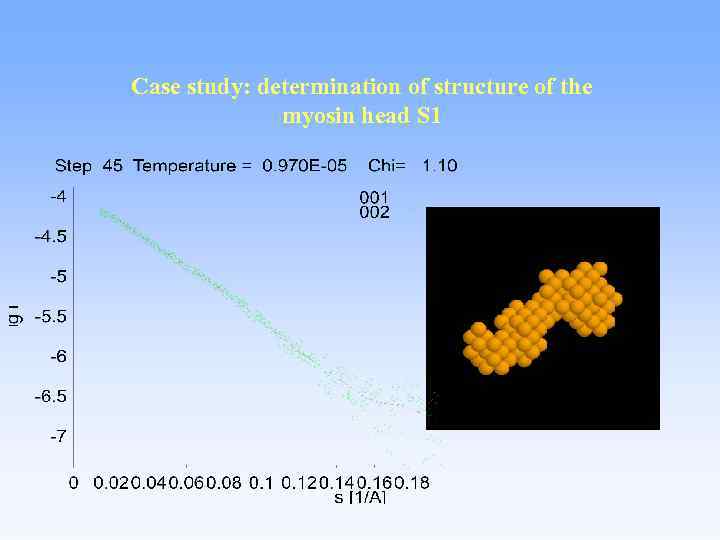 Case study: determination of structure of the myosin head S 1 