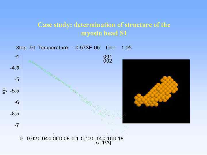 Case study: determination of structure of the myosin head S 1 