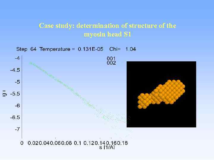 Case study: determination of structure of the myosin head S 1 