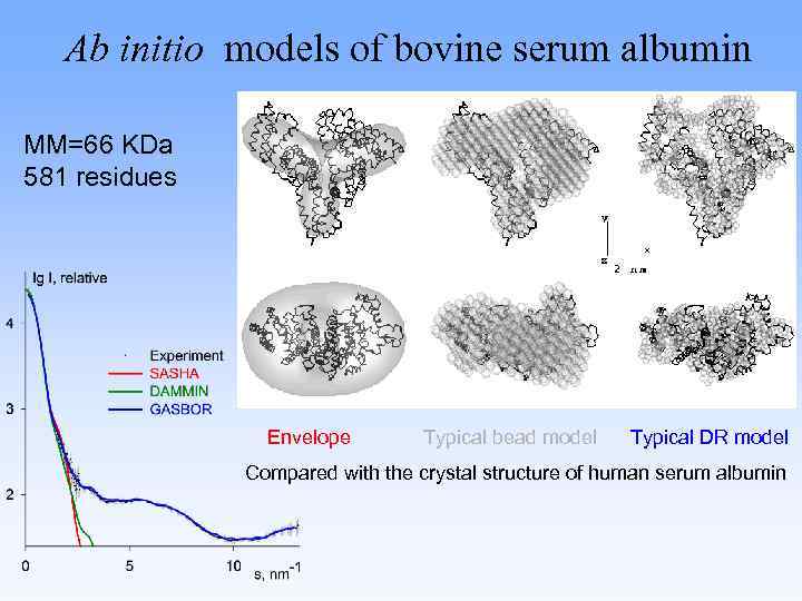 Ab initio models of bovine serum albumin MM=66 KDa 581 residues Envelope Typical bead