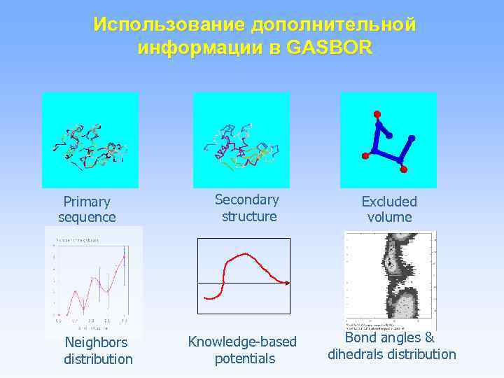 Использование дополнительной информации в GASBOR Primary sequence Neighbors distribution Secondary structure Knowledge-based potentials Excluded