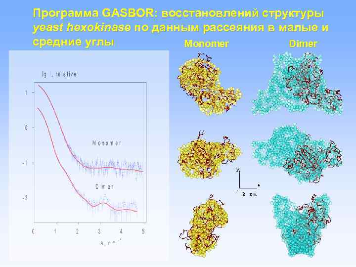 Программа GASBOR: восстановлений структуры yeast hexokinase по данным рассеяния в малые и средние углы