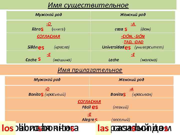 Имя существительное Мужской род Женский род -O -A libro s casa s (книга) СОГЛАСНАЯ
