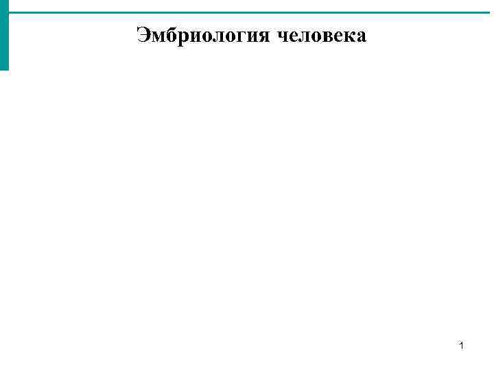 Эмбриология человека 1 