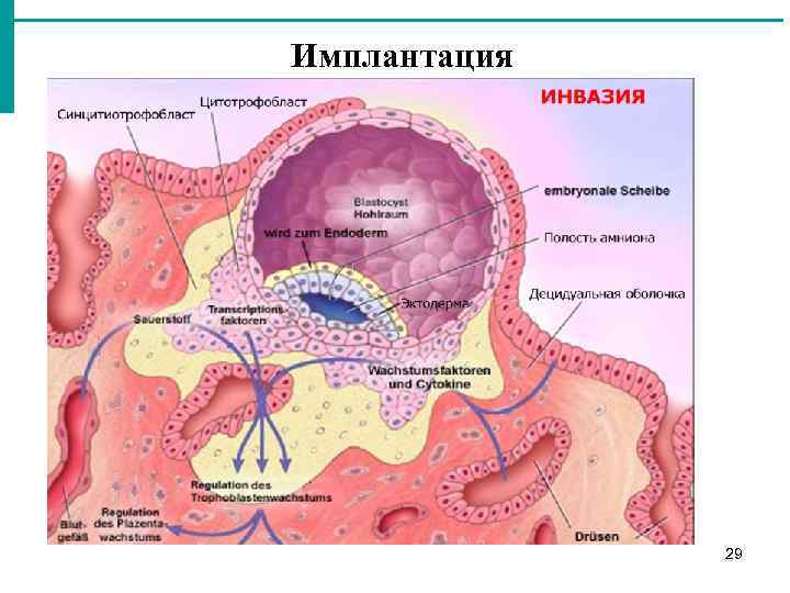 Какова структура векторного рисунка