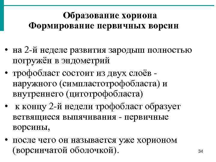 Образование хориона Формирование первичных ворсин • на 2 й неделе развития зародыш полностью погружён