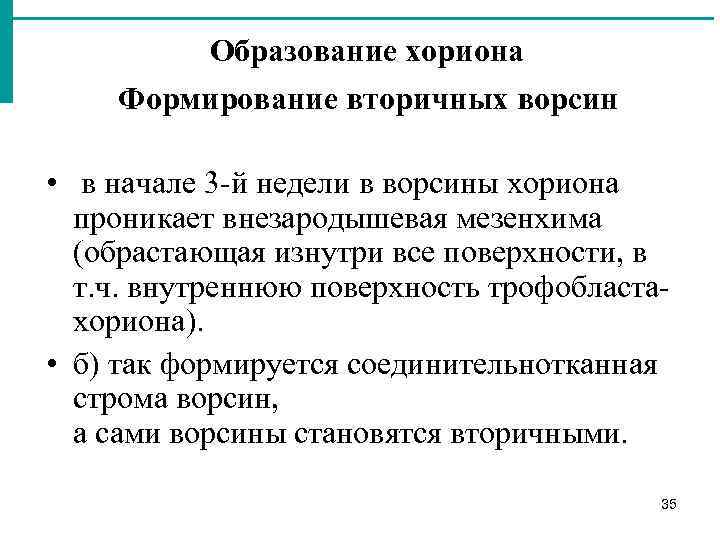 Образование хориона Формирование вторичных ворсин • в начале 3 й недели в ворсины хориона