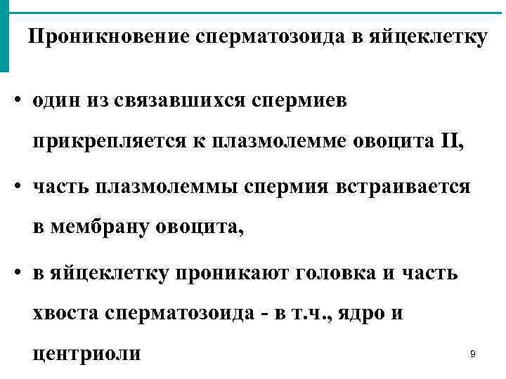 Проникновение сперматозоида в яйцеклетку • один из связавшихся спермиев прикрепляется к плазмолемме овоцита II,
