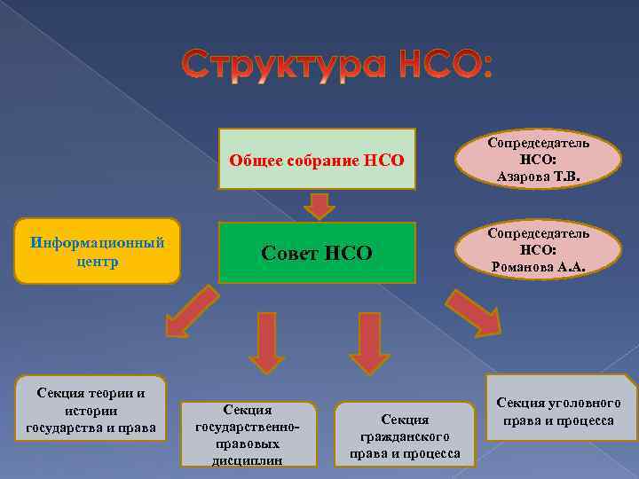 Общее собрание НСО Информационный центр Секция теории и истории государства и права Сопредседатель НСО: