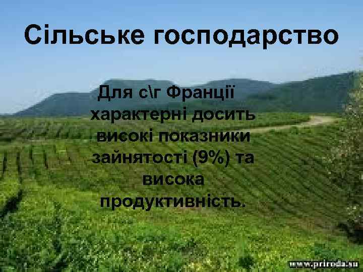 Сільське господарство Для сг Франції характерні досить високі показники зайнятості (9%) та висока продуктивність.