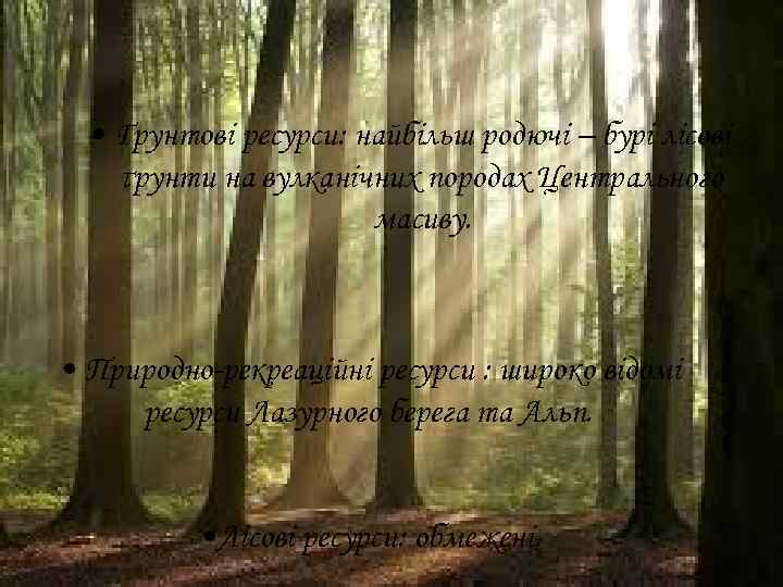  • Ґрунтові ресурси: найбільш родючі – бурі лісові ґрунти на вулканічних породах Центрального