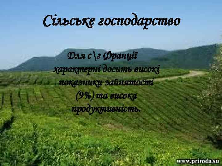 Сільське господарство Для сг Франції характерні досить високі показники зайнятості (9%) та висока продуктивність.